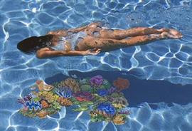 Dive into the Future of Aquatic Branding with AquaFlex® - The Ultimate Underwater Advertising Solution