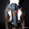 Denim Chest Plate Harness