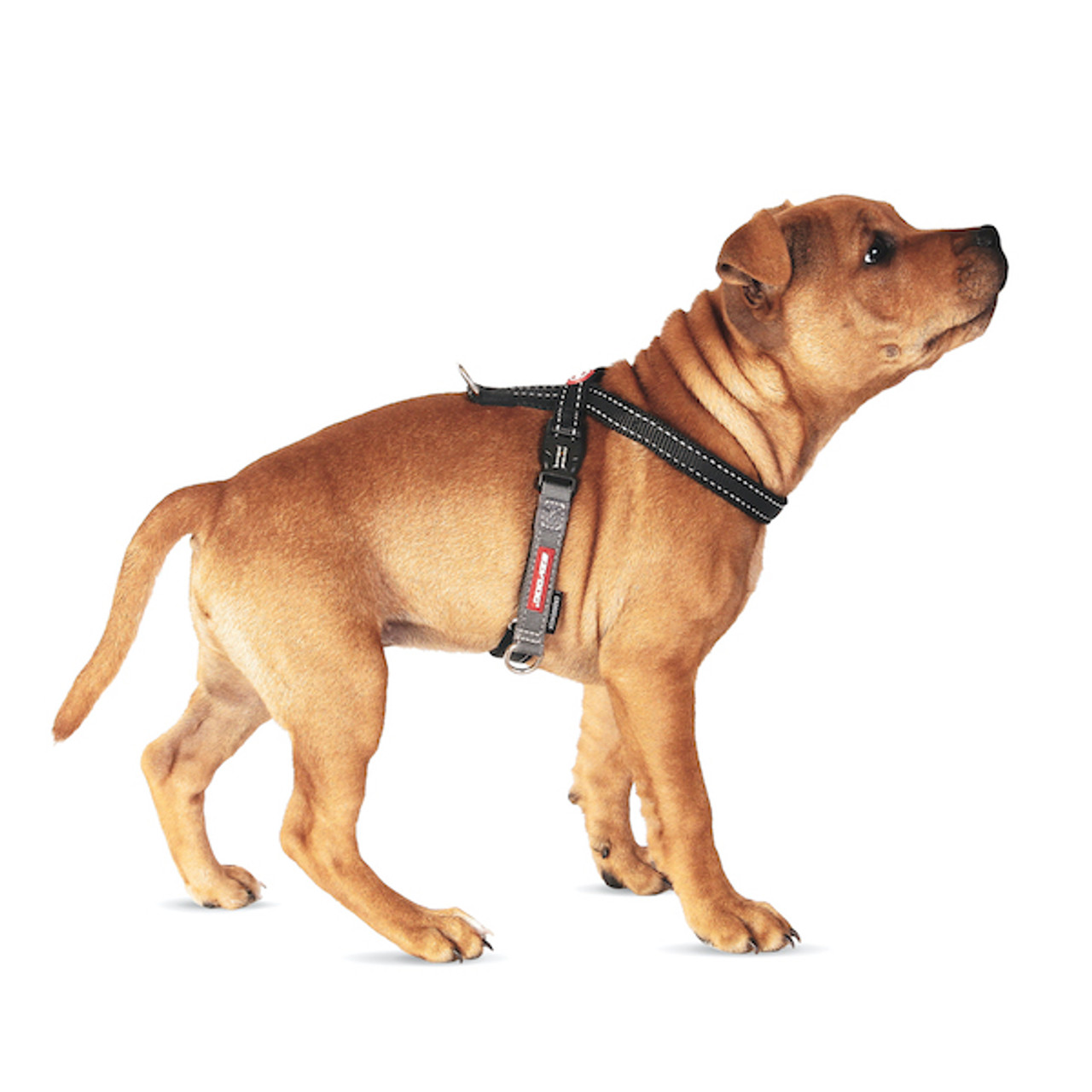 Escape Proof Dog Harness | Figure 8 Dog Harness