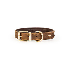 EzyDog Oxford Leather Collar - Brown