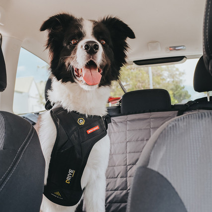 QUMY Dog Seat Belt Car Harness for Dogs Adjustable