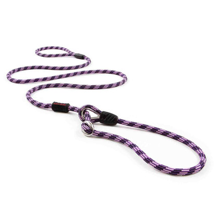 leash and collar in one