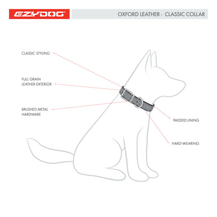 Ezydog hot sale leather collar