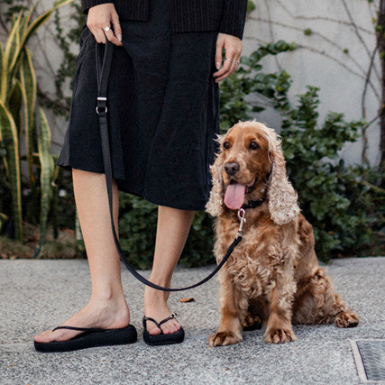 EzyDog Oxford Leather Leash and Collar - Black