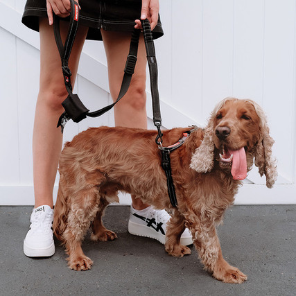 Crosscheck™ Dog Harness