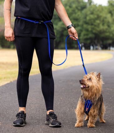 road runner leash