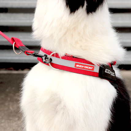 Lv Dog Harness How Do I Make My Puppy Fluffy