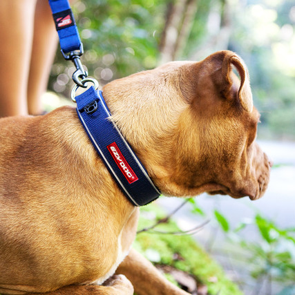 Dog Collars - stay dry waterproof dog collars