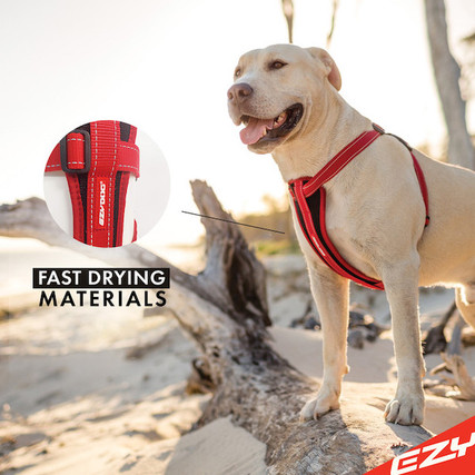 Ez sales dog harness