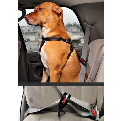 EzyDog™ Dog Seat Belt Harness