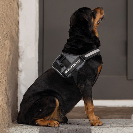 Convert Dog Harness - EzyDog South Africa