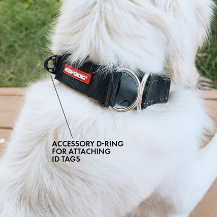 Dog Collar Attachment Dog Fashion Accessories