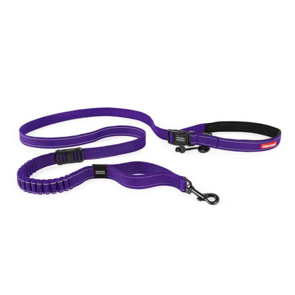 roadrunner running dog leash