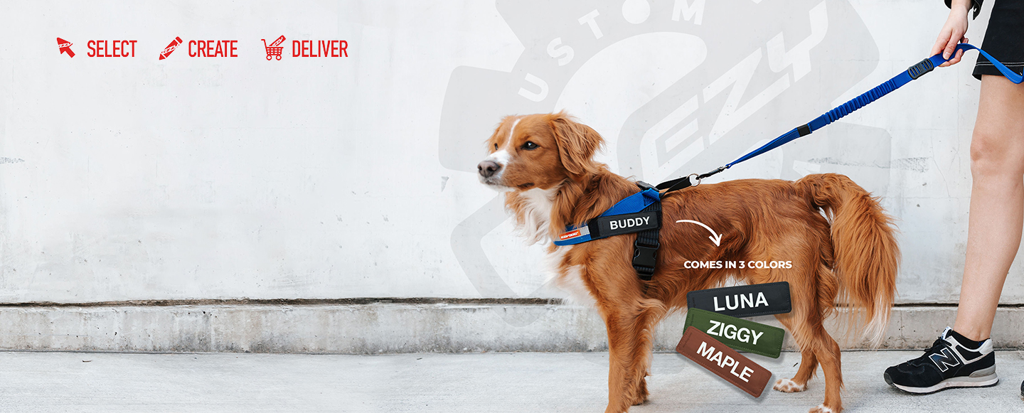 Buddy Up™️ Front Harness, Dog Support Harness