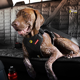  EzyDog Drive Safety Travel Dog Car Harness - Crash