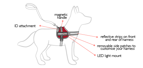 convert-harness-diagram.jpg