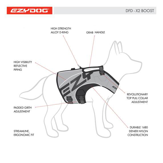 dfd x2 features diagram