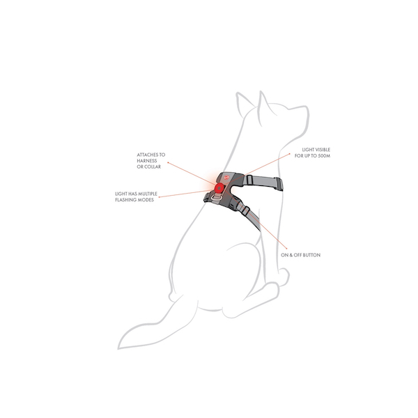 diagram showing the features of the EzyDog GO2 Light