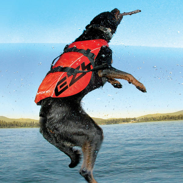 ezydog life vest