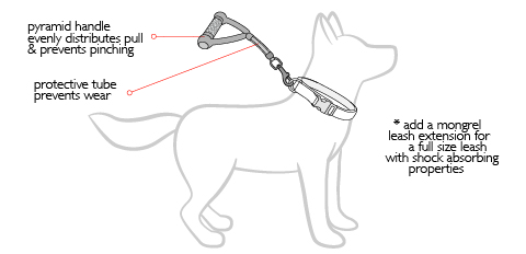 mongrel diagram