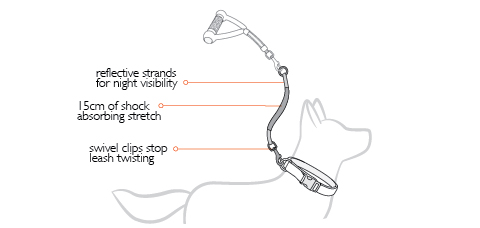 mongrel extension diagram