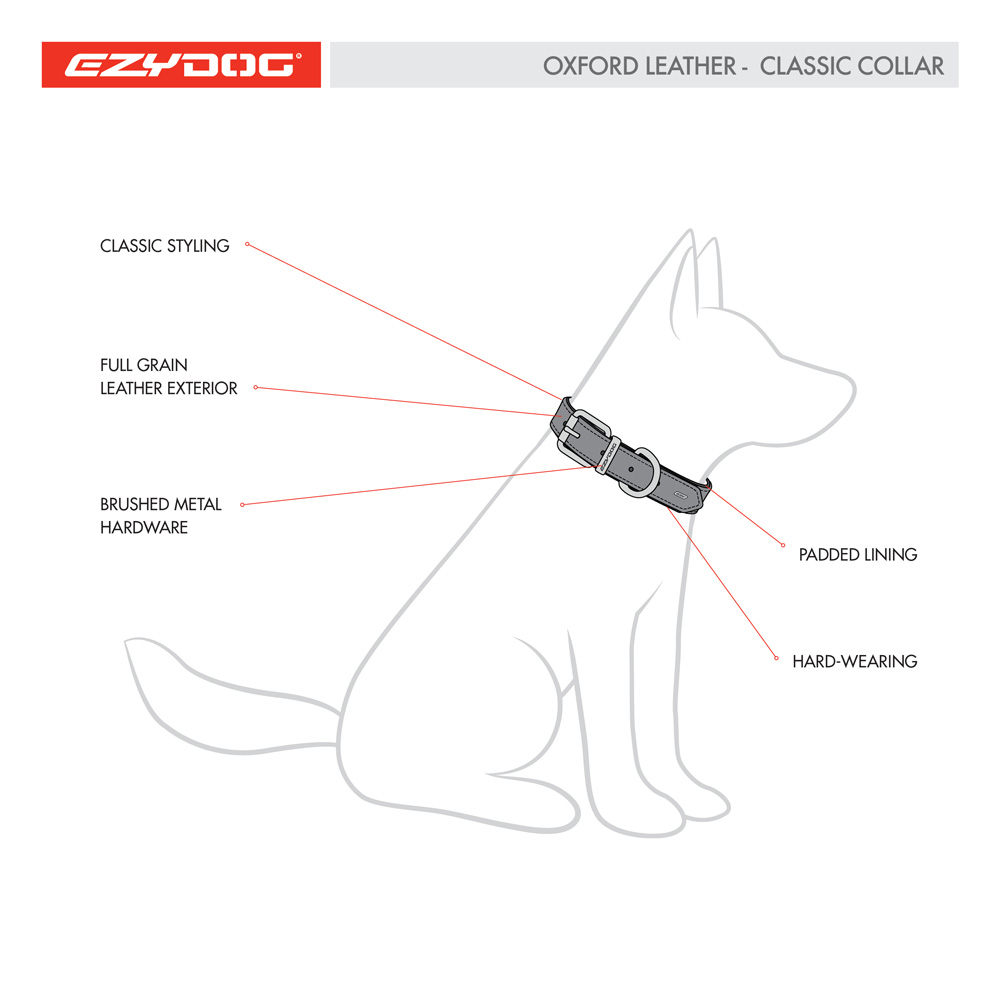 Oxford Leather Collar Features Diagram