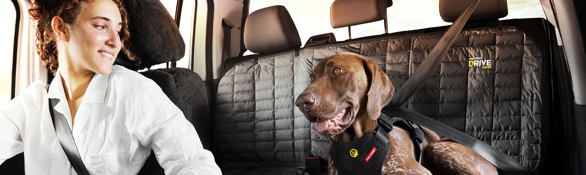 dog travel restraints