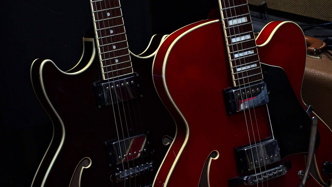 Electric Guitar Wood