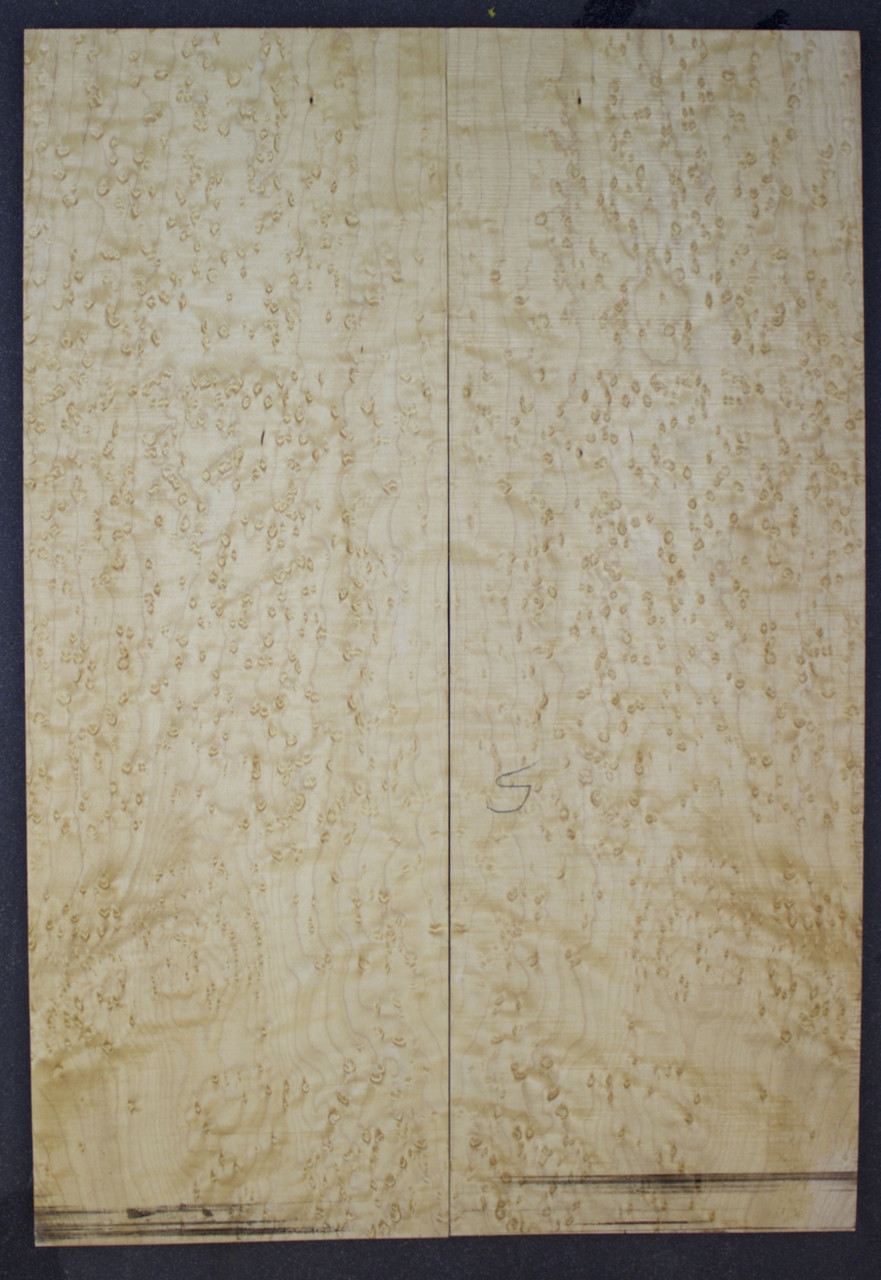 Birdseye Maple Carve Top