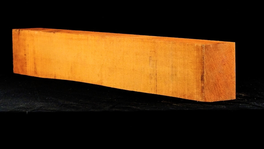 Electric Guitar Necks