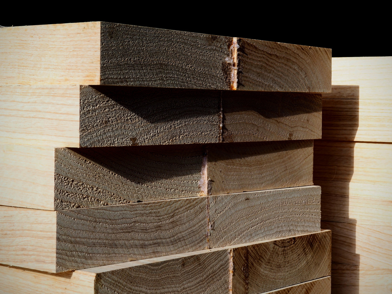 Swamp Ash Body Blank - Electric