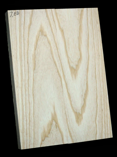 Louisiana Swamp Ash Body