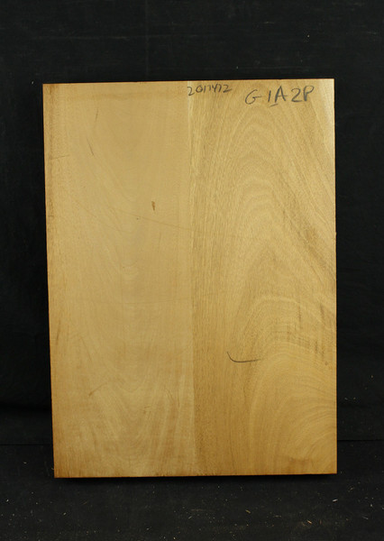 1a 2piece Mahogany Bodies