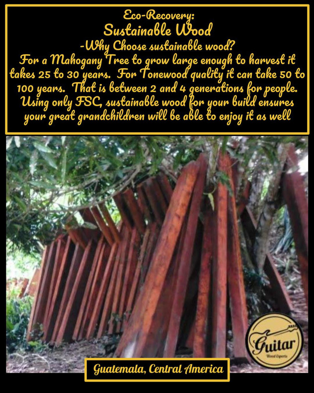 Eco-Recovery.  The Story of our genuine Honduran Mahogany.  Where do we start