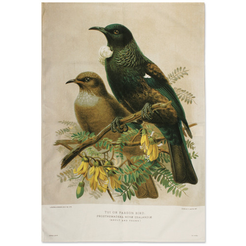 Derek Assorted Souvenir Tea Towels - Tui (TT412) Derek Assorted Souvenir Tea Towels - Tui (TT412)