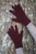 Lothlorian - Turn Back Glove (9730)Pinot Lothlorian - Turn Back Glove (9730)Pinot