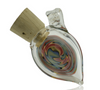 Intent Glass Nug Jug Pendant