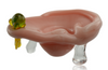 Tammy Baller 3" Ear Dish with Stud Earring Side Profile Tammy Baller 3" Ear Dish with Stud Earring Side Profile