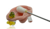 Tammy Baller 3" Ear Dish with Stud Earring & QTip Dabber Tammy Baller 3" Ear Dish with Stud Earring & QTip Dabber