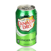 Canada Dry Soda Can Diversion Safe
