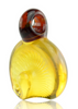 Erik Anders Glass Fume & Red Ammonite Pendant Three Quarter Right Erik Anders Glass Fume & Red Ammonite Pendant Three Quarter Right