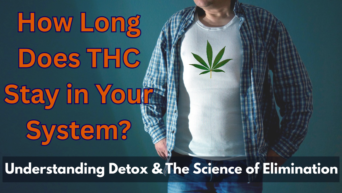 How Long Does THC Stay in Your System?