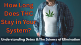 How Long Does THC Stay in Your System?