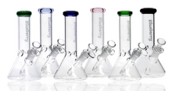 8" Blueberry Mini Beaker Collection