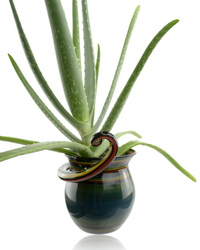 Natey Rasta Pipe Pot