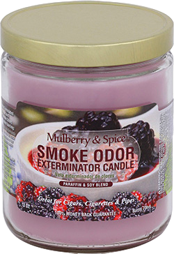 13oz Mulberry & Spice Candle by Smoke Odor Exterminator.