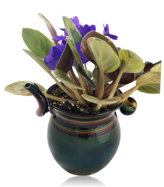 Natey Rasta Pipe Pot