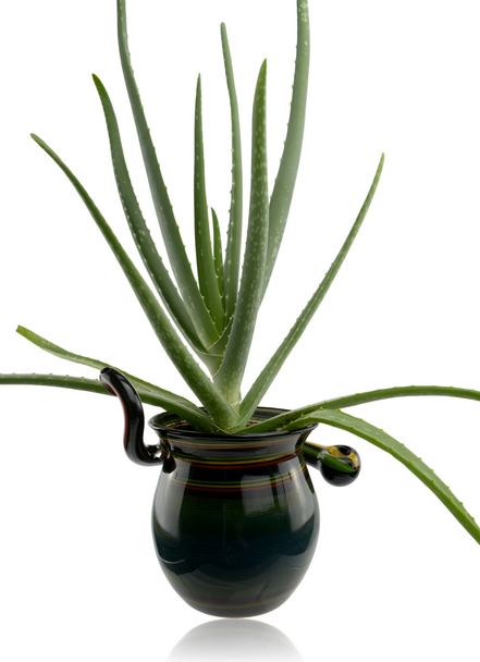 Natey Rasta Pipe Pot Natey Rasta Pipe Pot