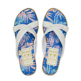 SPF Pink Blue Hibiscus/White