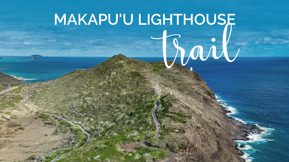 Discover Oahu’s Natural Beauty: Makapuu Lighthouse Trail - Island Slipper